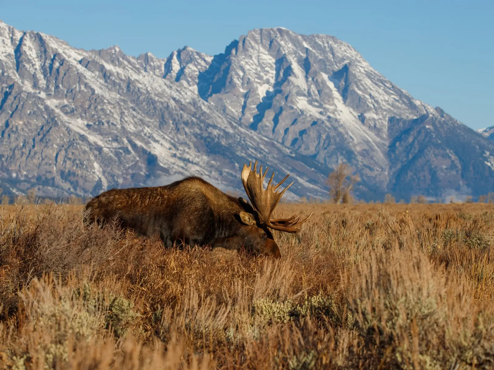 USA - Sze Parkw Narodowych USA