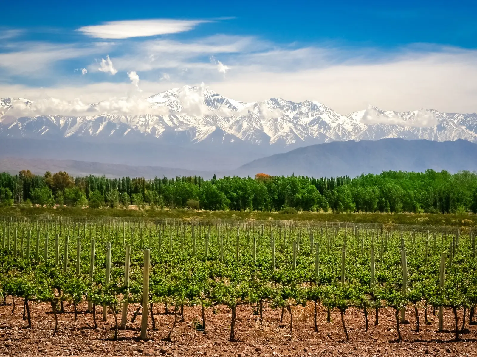 Chile, Argentyna, Urugwaj, Paragwaj, Brazylia - Pi krajw Ameryki Poudniowej