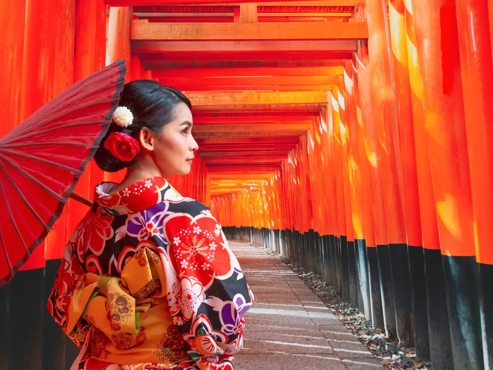 Dwie wyspy samurajw 2025