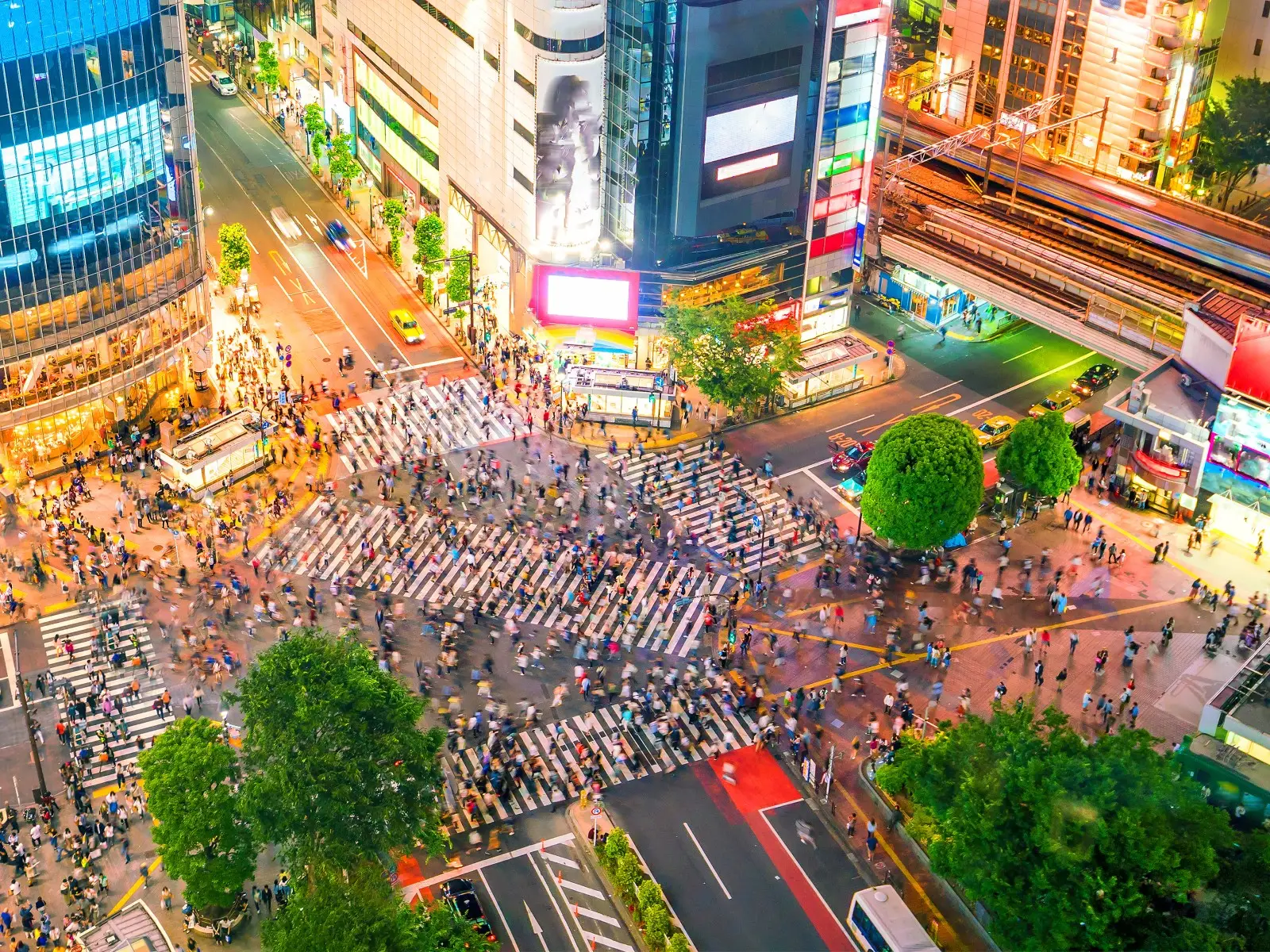 Dwie wyspy samurajw 2025