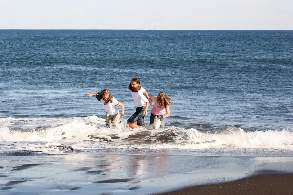 Midzywodzie: Obz ARTystyczny