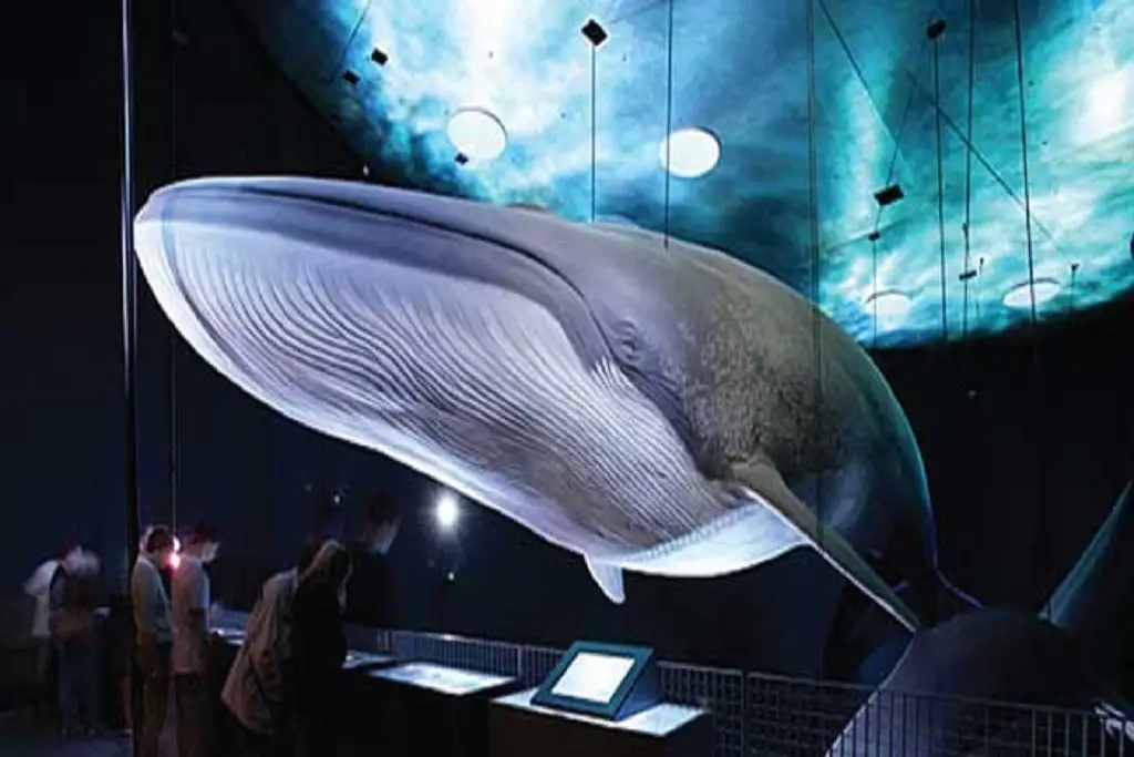 Koobrzeg - Street Dance