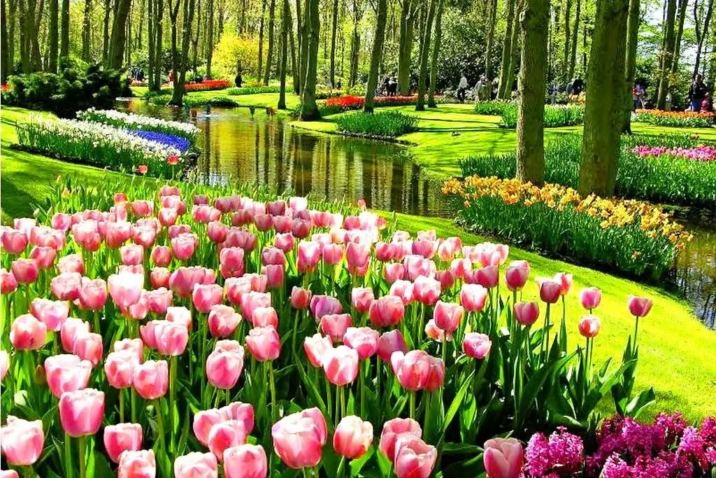 Luksemburg, Belgia, Holandia - Podbj Beneluxu