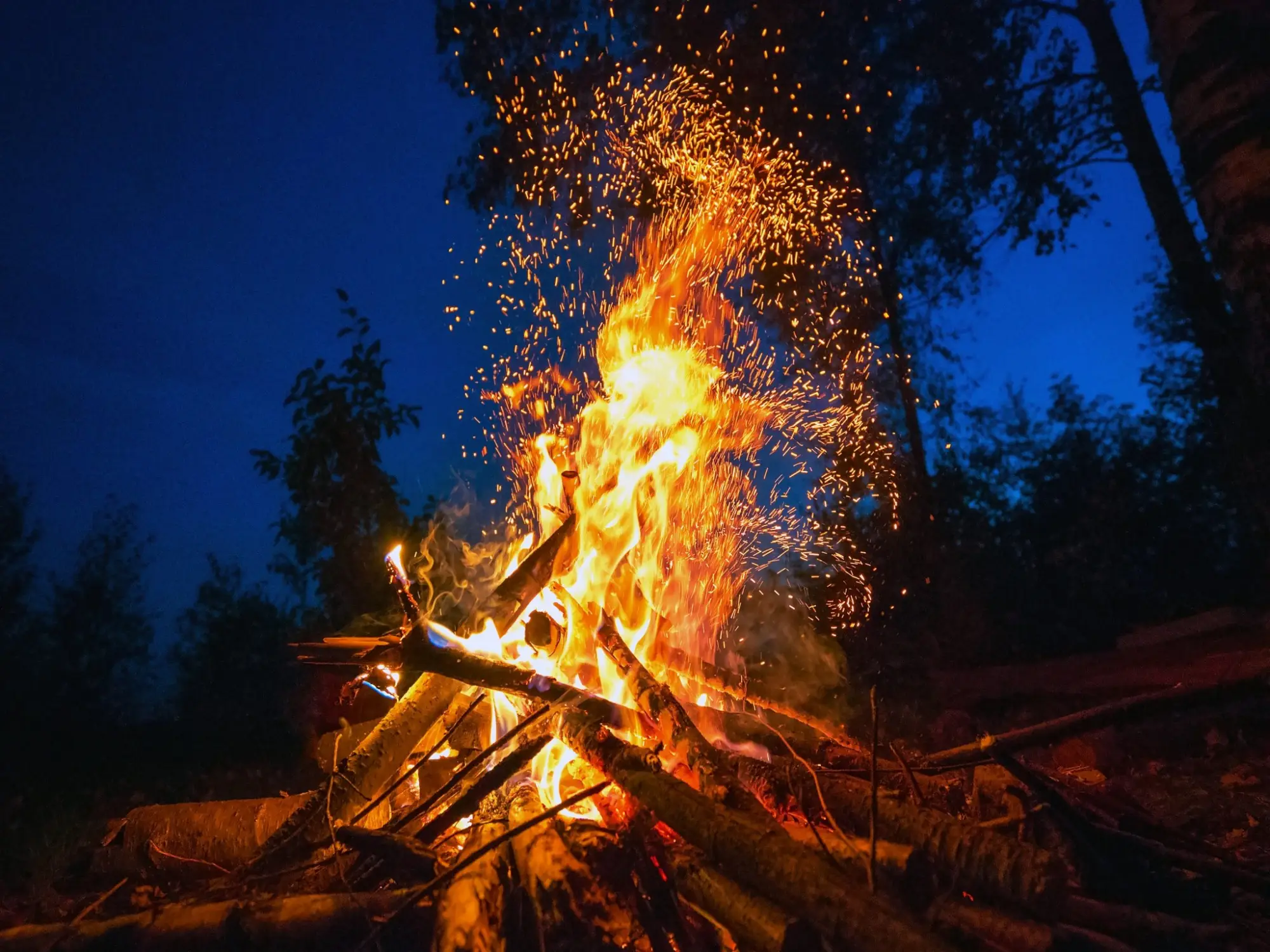 Midzyrzec Podlaski: survival
