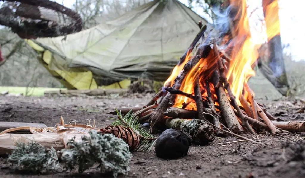 Midzyrzec Podlaski: survival