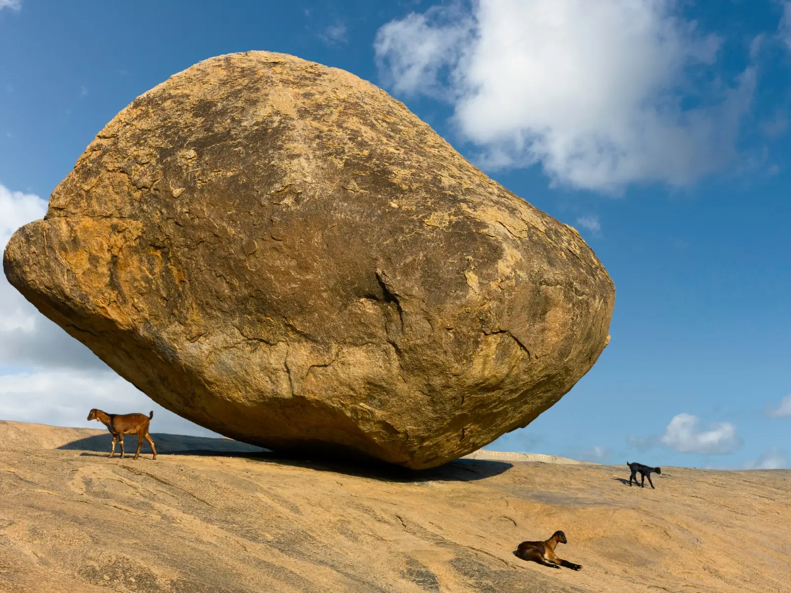 Indie - Kolorowe Indie Poudniowe