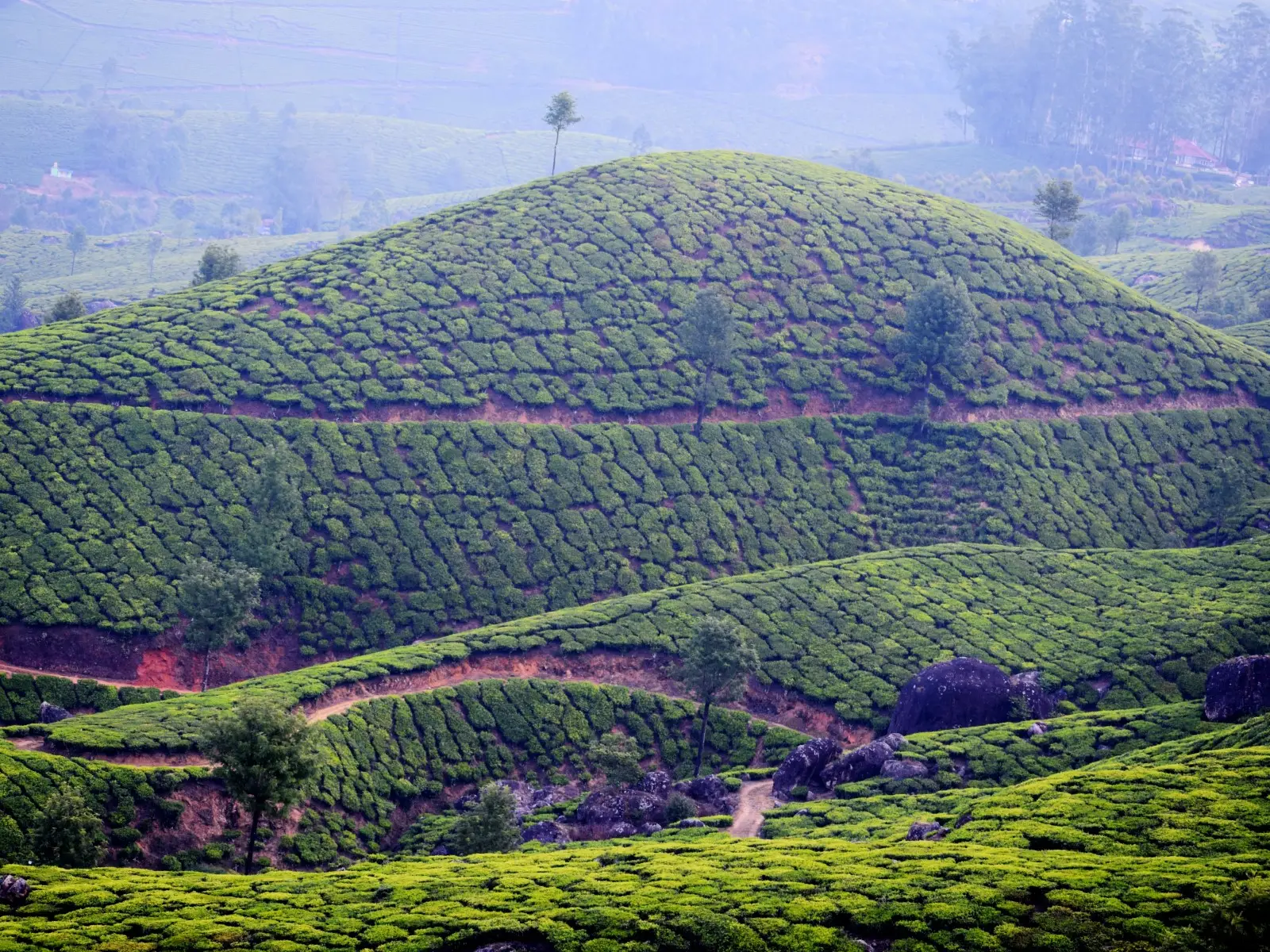 Indie - Kolorowe Indie Poudniowe