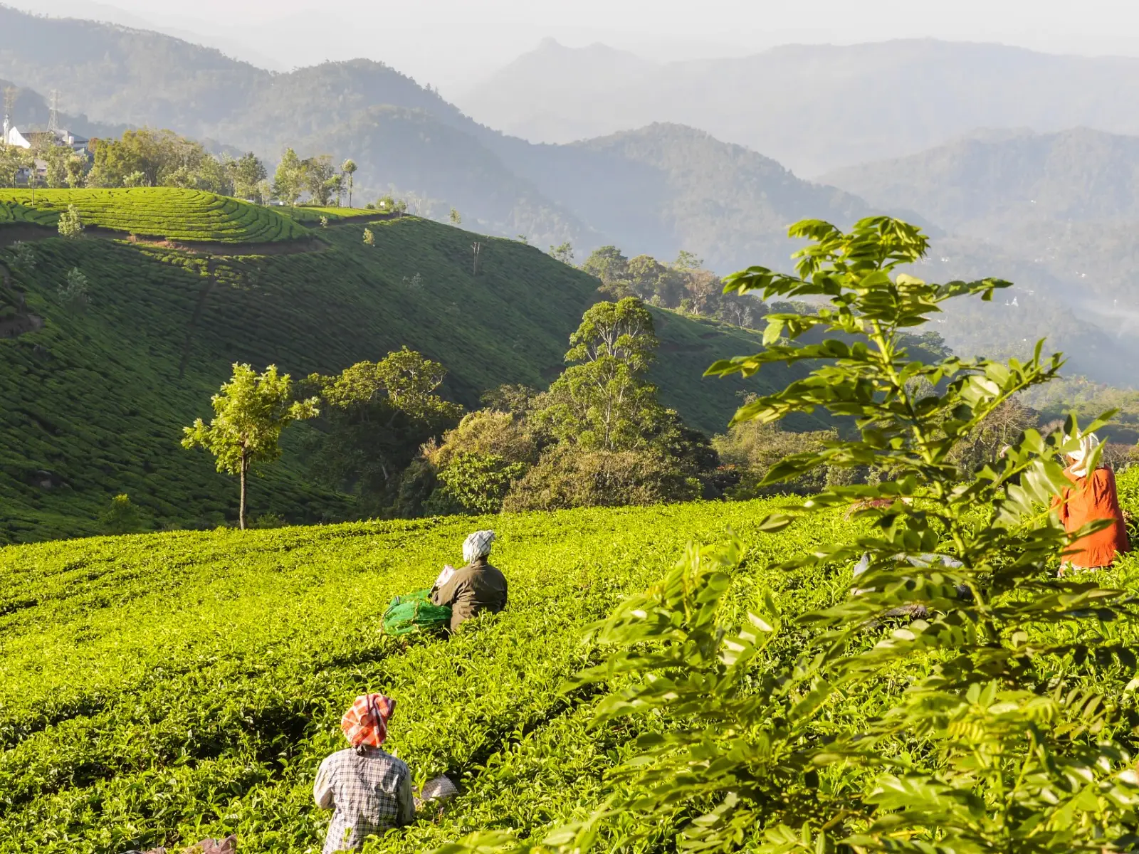 Indie - Kolorowe Indie Poudniowe