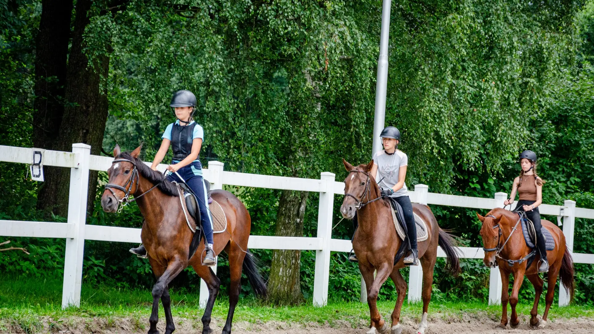 Zbrosawice - kurs jedziectwa