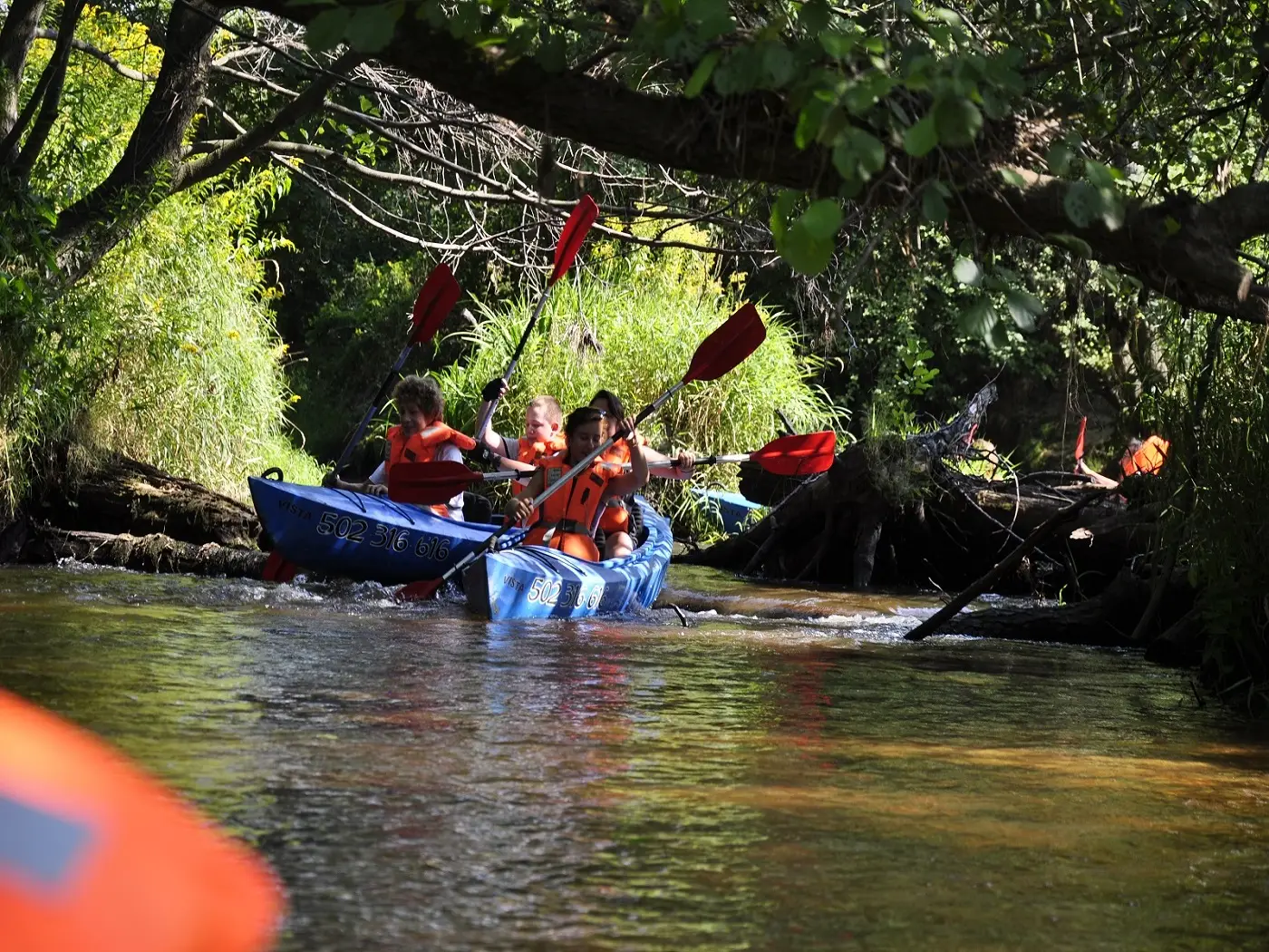 Janw Lubelski - obz rowerowo-kajakowy