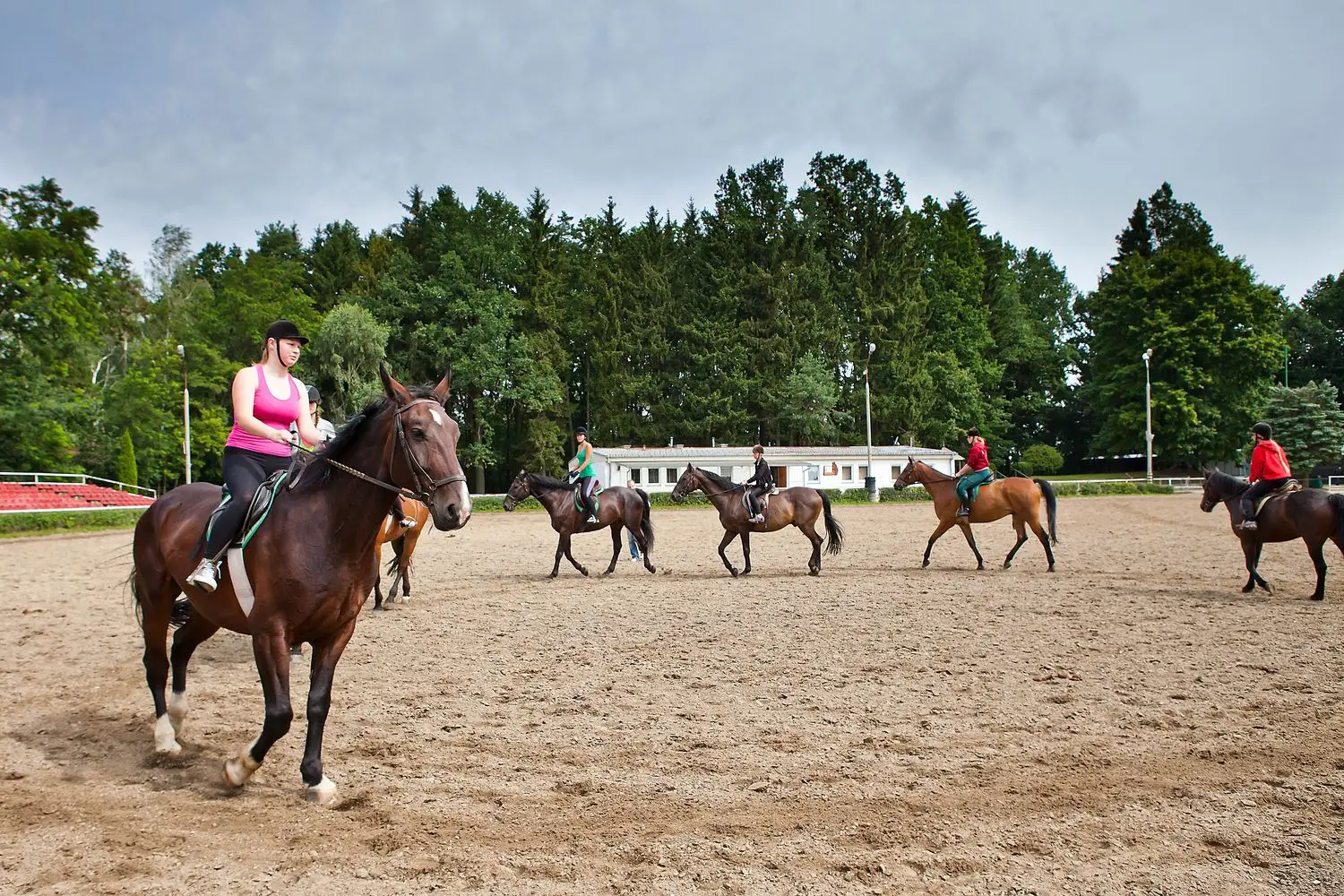 Kortowo - FunFestival - obz jazdy konnej