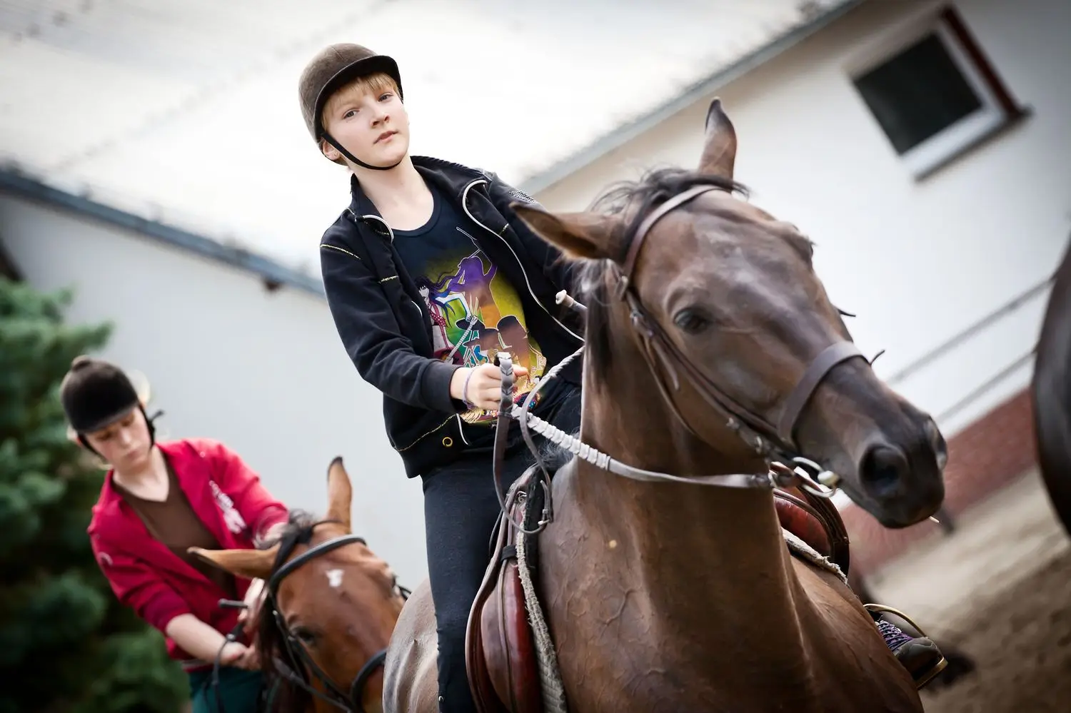 Kortowo - FunFestival - obz jazdy konnej