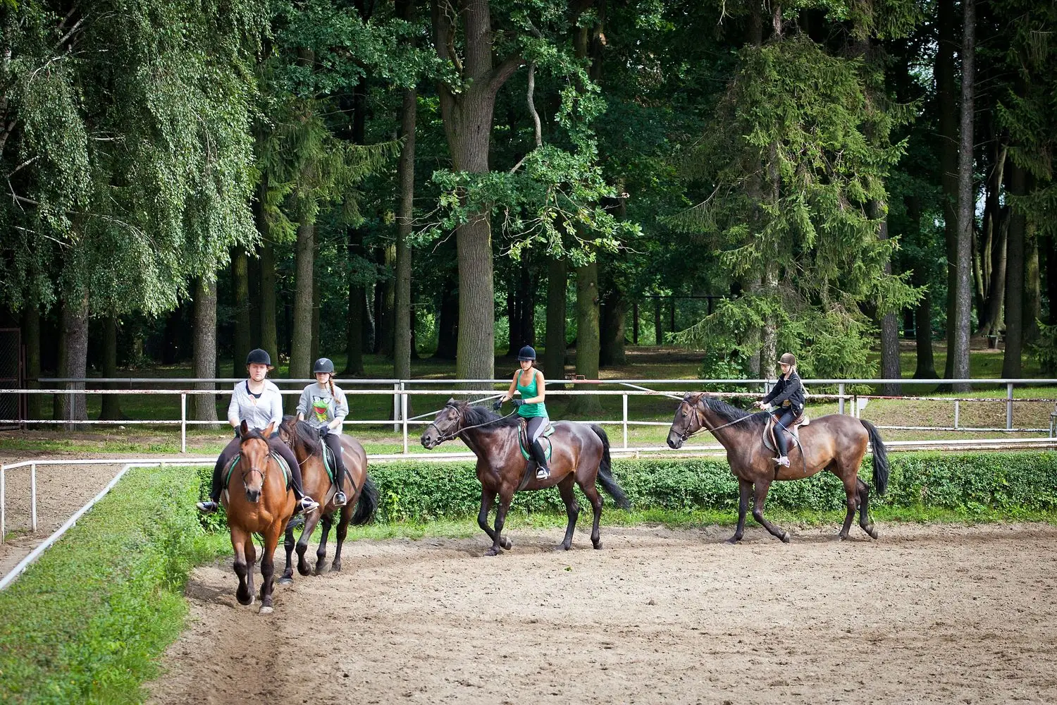 Kortowo - FunFestival - obz jazdy konnej