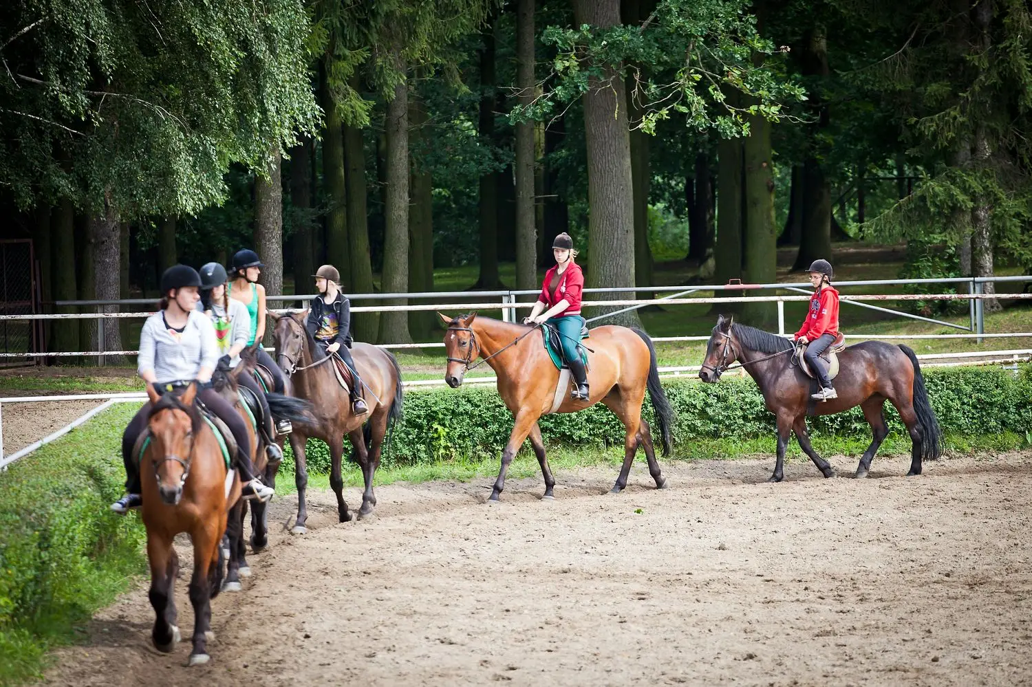 Kortowo - FunFestival - obz jazdy konnej