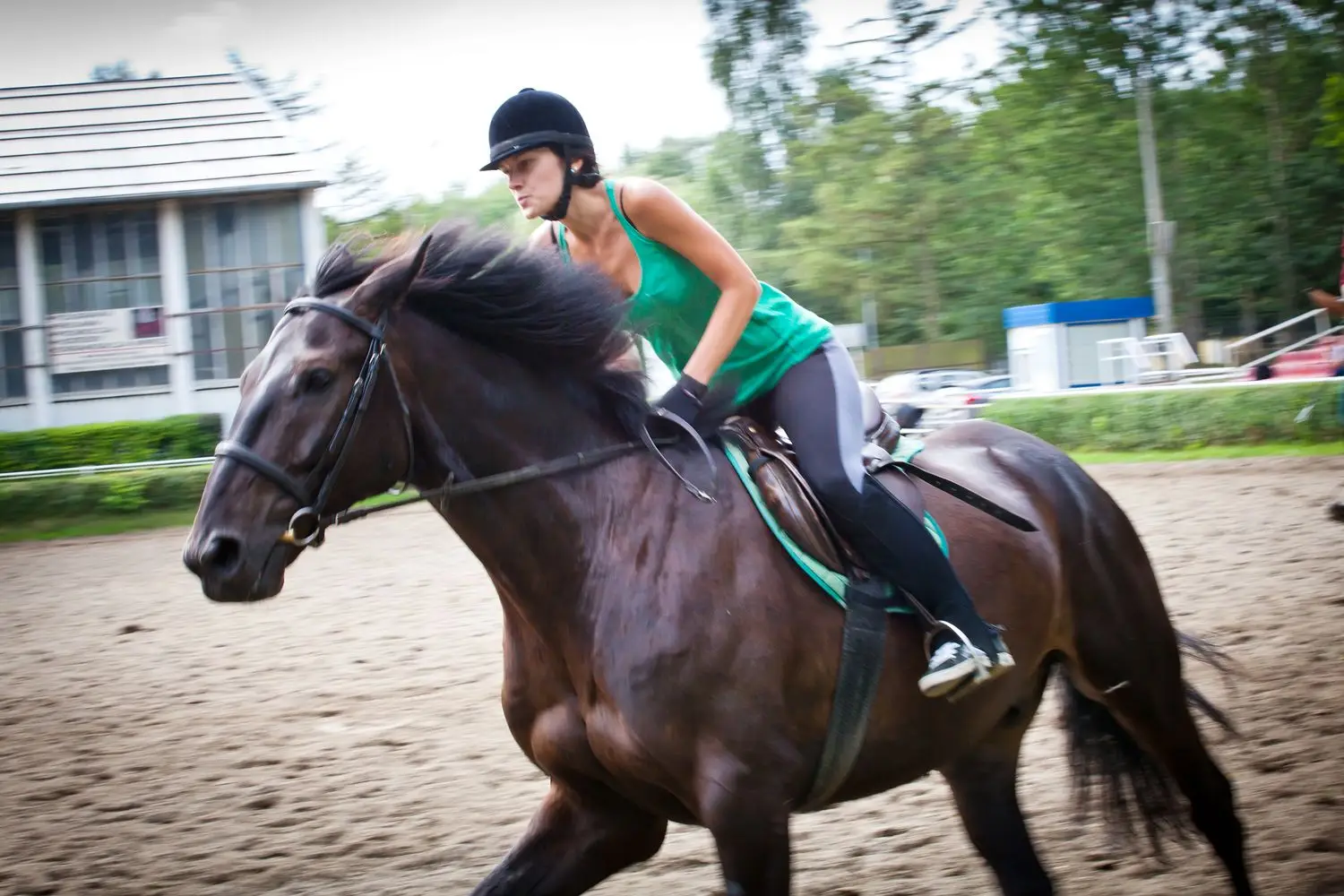 Kortowo - FunFestival - obz jazdy konnej