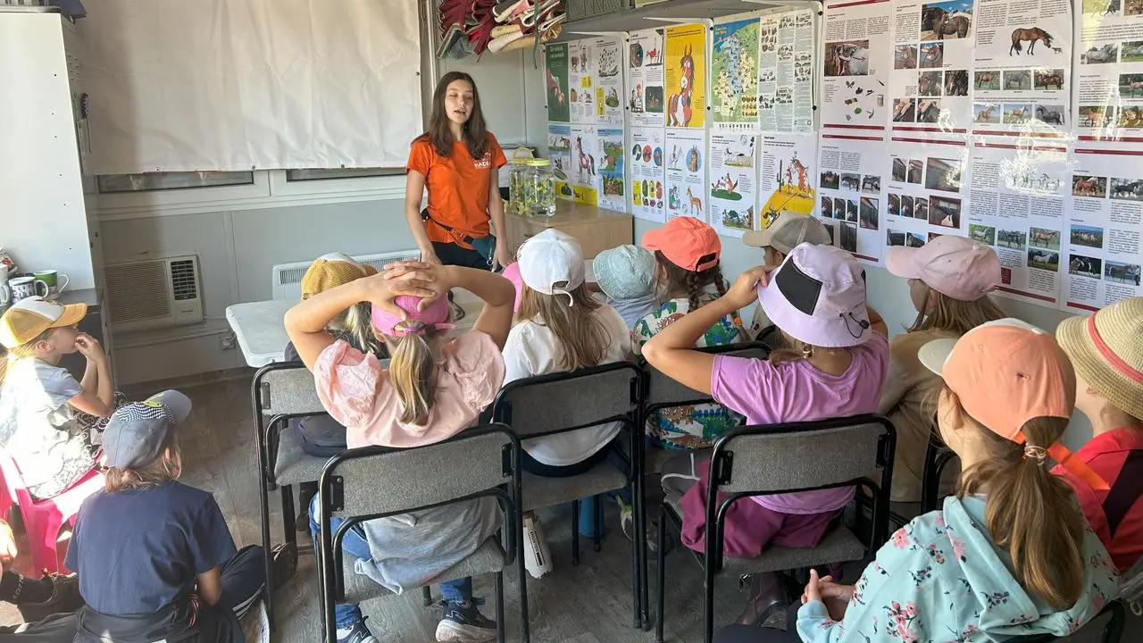 Runowo - kolonia jedziecka My Little Pony