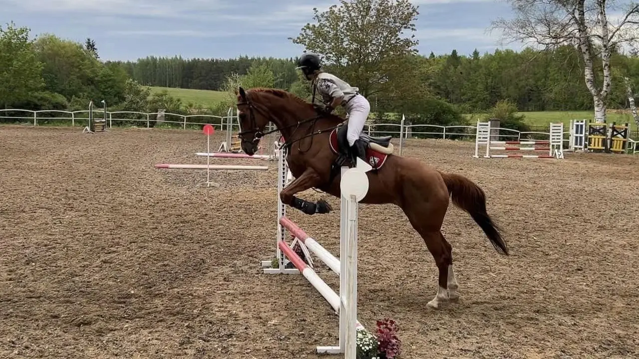 Runowo - kolonia jedziecka My Little Pony