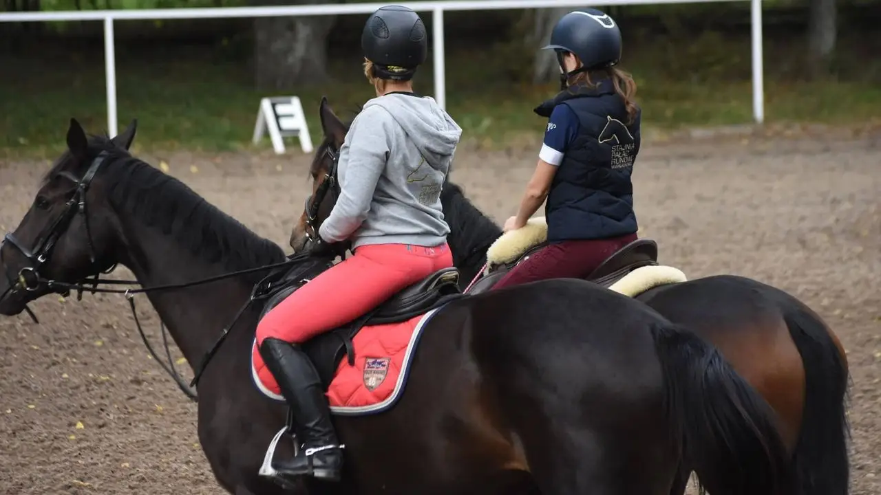 Runowo - kolonia jedziecka My Little Pony