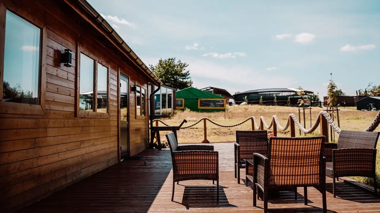 Runowo - kolonia jedziecka My Little Pony