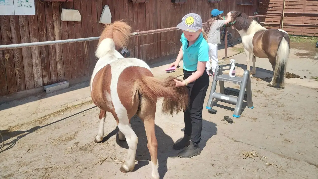 Runowo - kolonia jedziecka My Little Pony