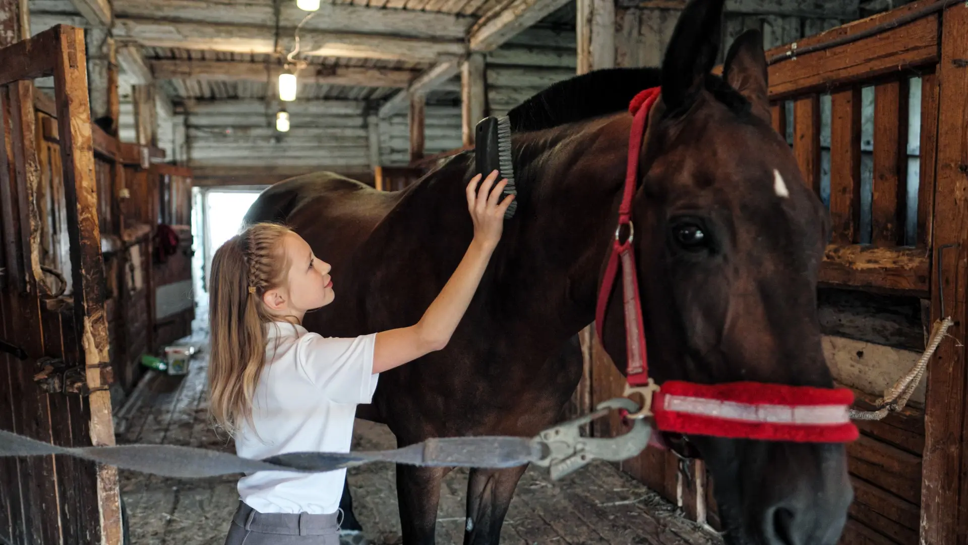 Brenna - obz jazdy konnej