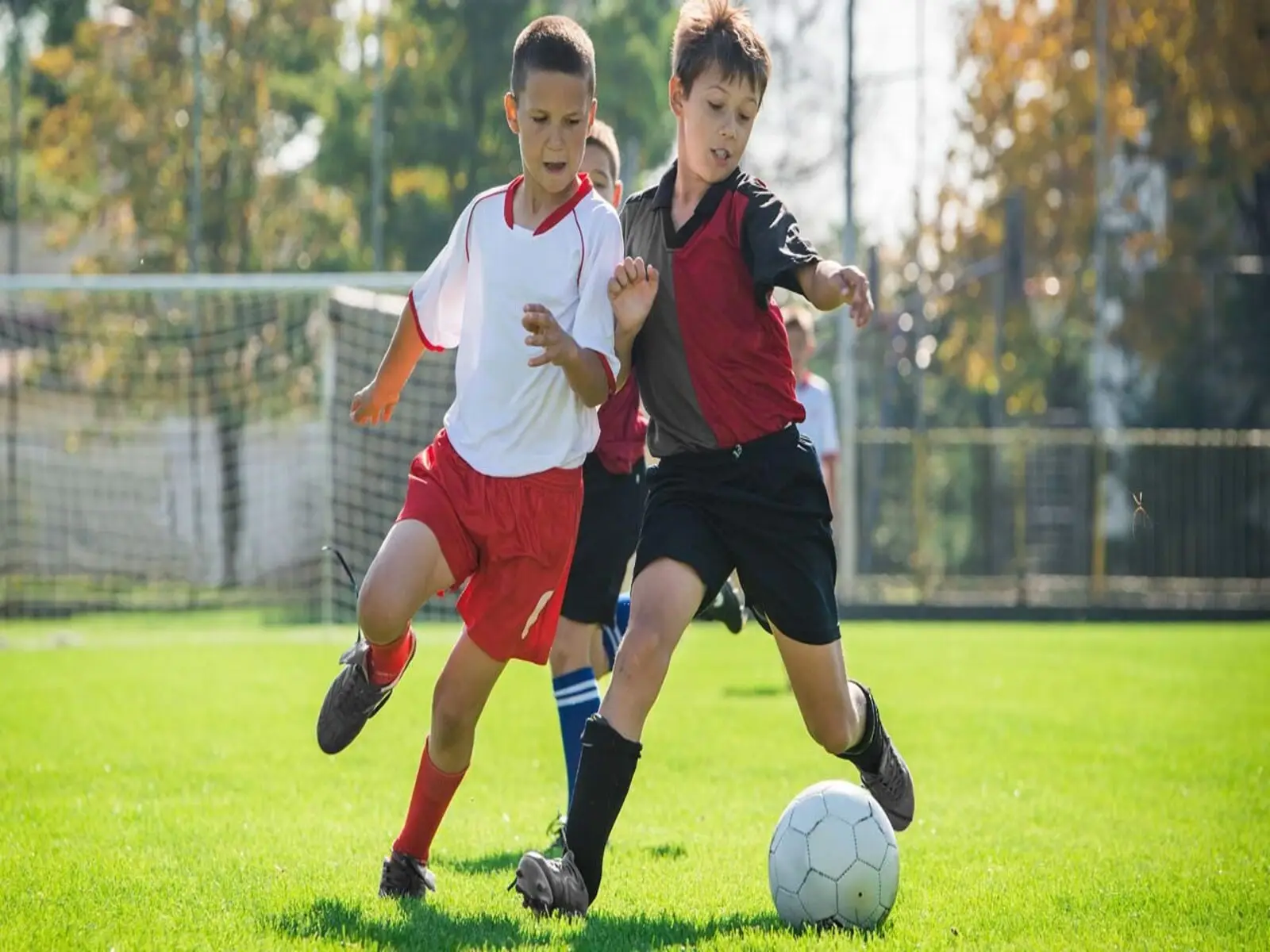 Cetniewo - kolonia pikarska