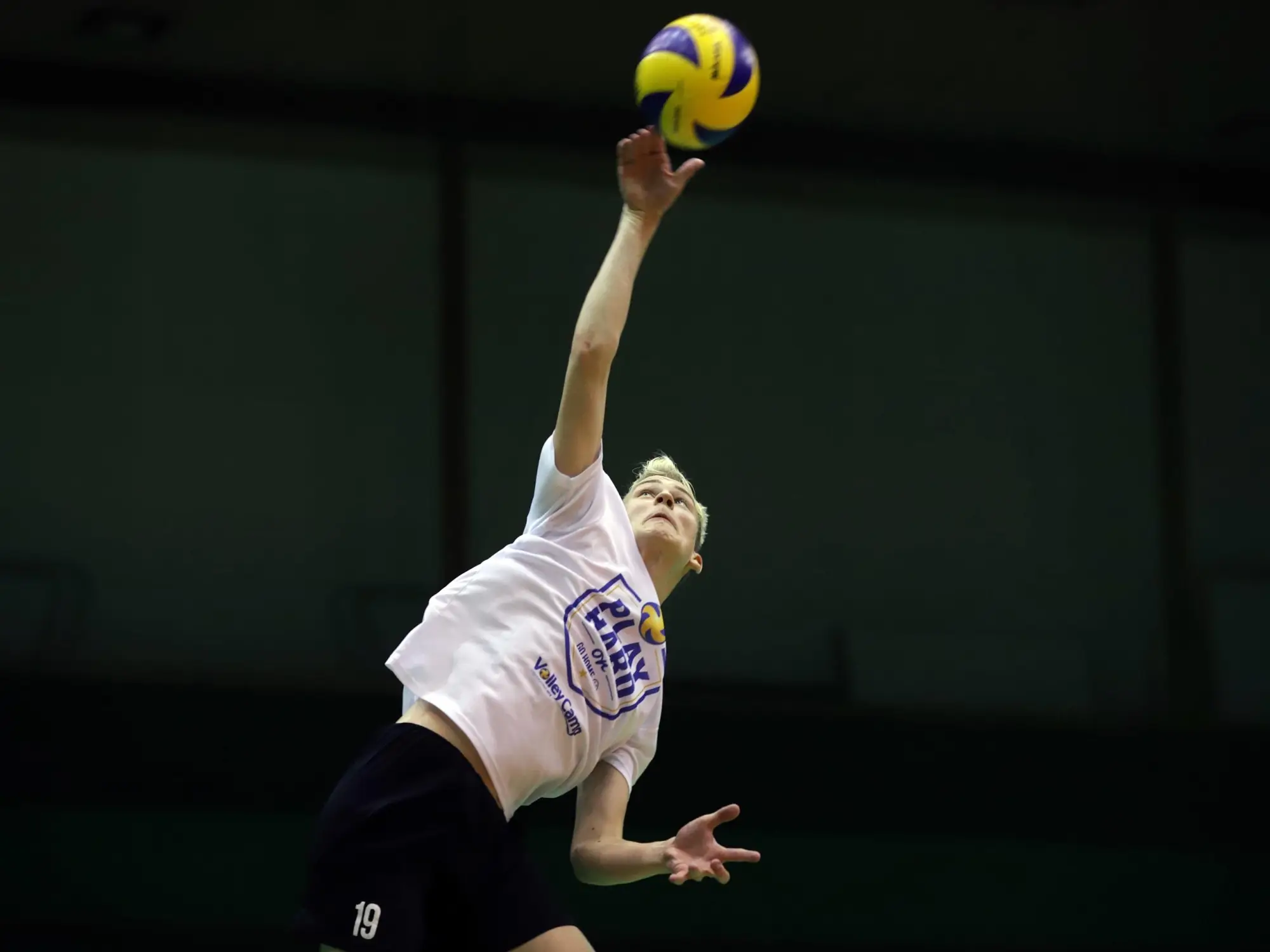 Czstochowa - obz siatkarski VolleyCamp