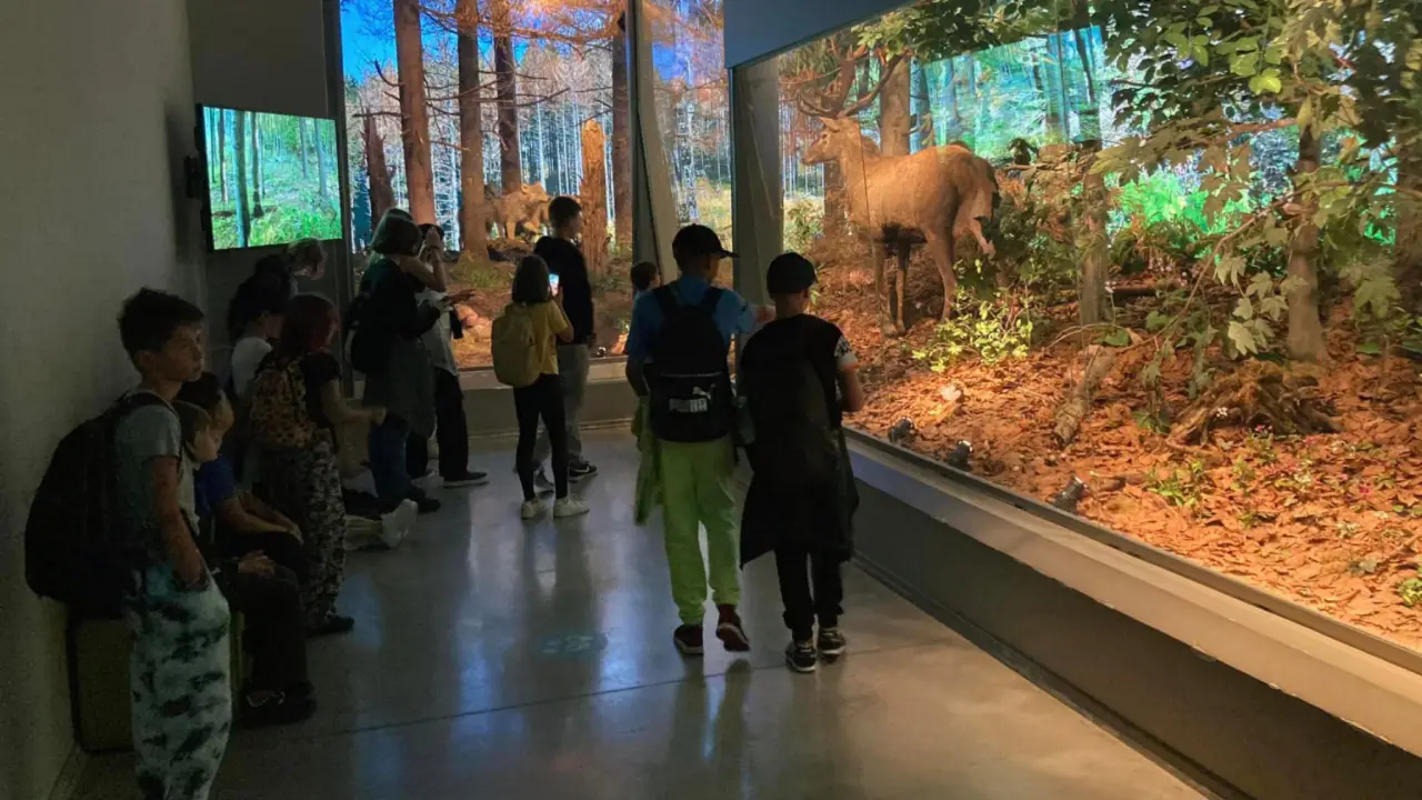 Zakopane - kolonie i obz Tatrzaski Luz