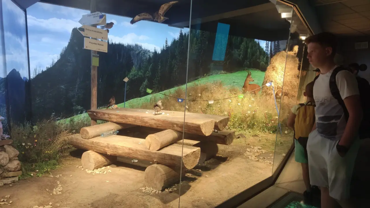 Zakopane - kolonie i ob�z Tatrza�ska Przygoda