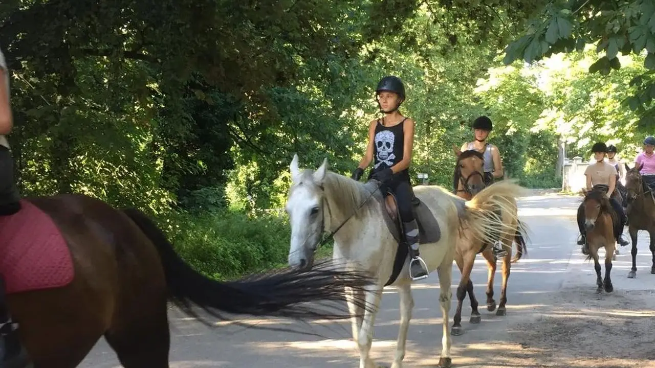 Opolszczyzna Bory Niemodliskie - studencki rajd konny