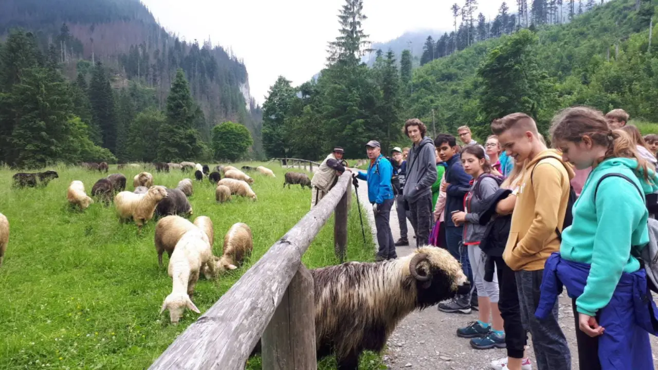 Zakopane - kolonie i obz Tatra English