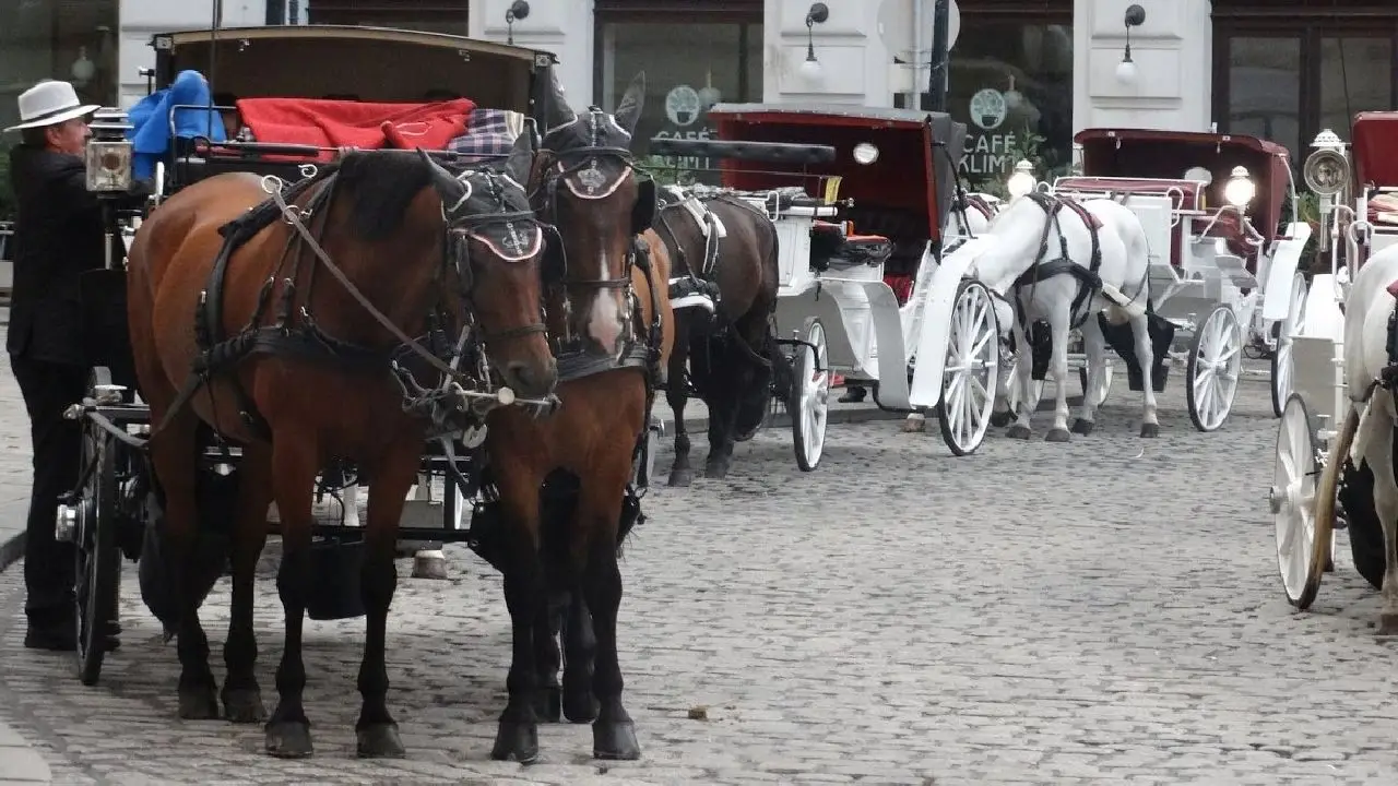 Wgry, Sowacja, Austria, Czechy - Cztery Stolice - Budapeszt-Bratysawa-Wiede-Praga - obz rekreacja i zwiedzanie