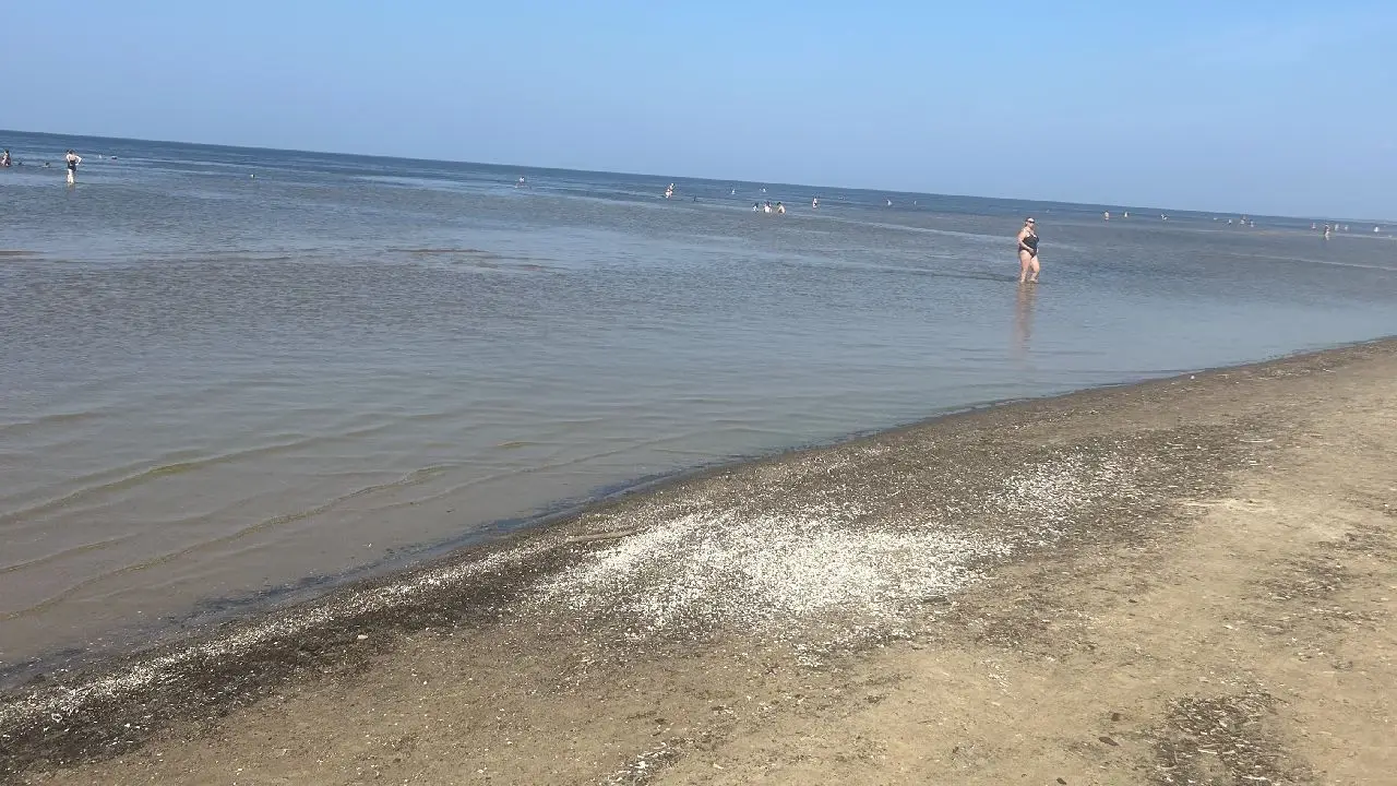 Litwa, otwa, Estonia - Nadbatyckie stolice - obz rekreacja i zwiedzanie