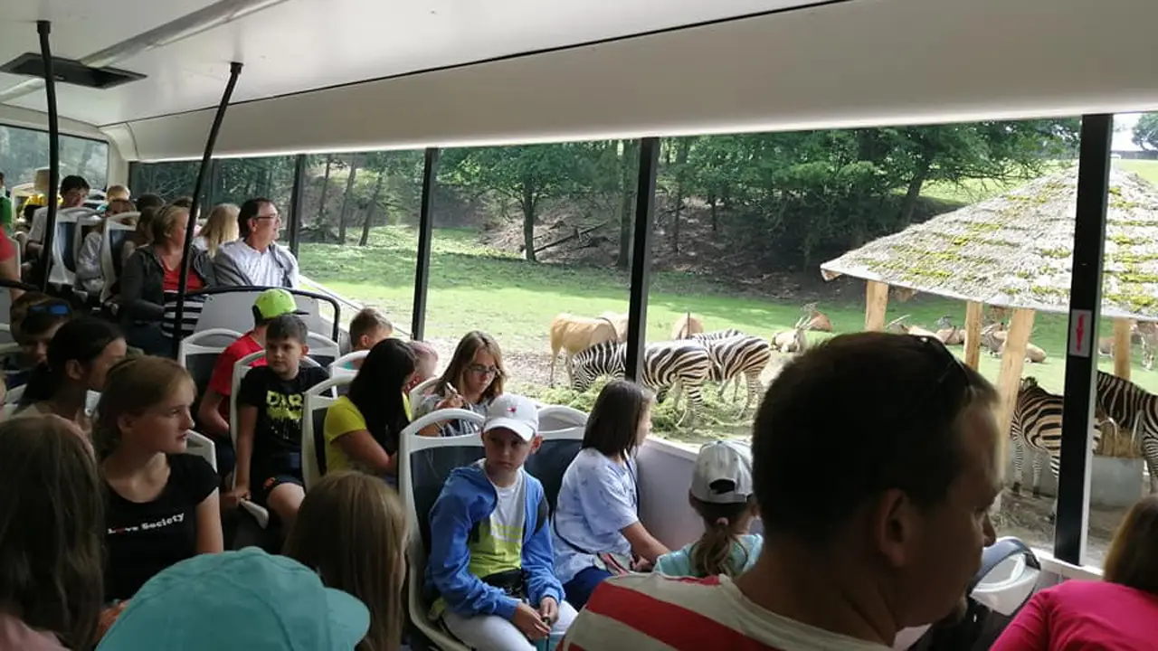 Ldek Zdrj + Praga - PrzyLdek dobrej zabawy