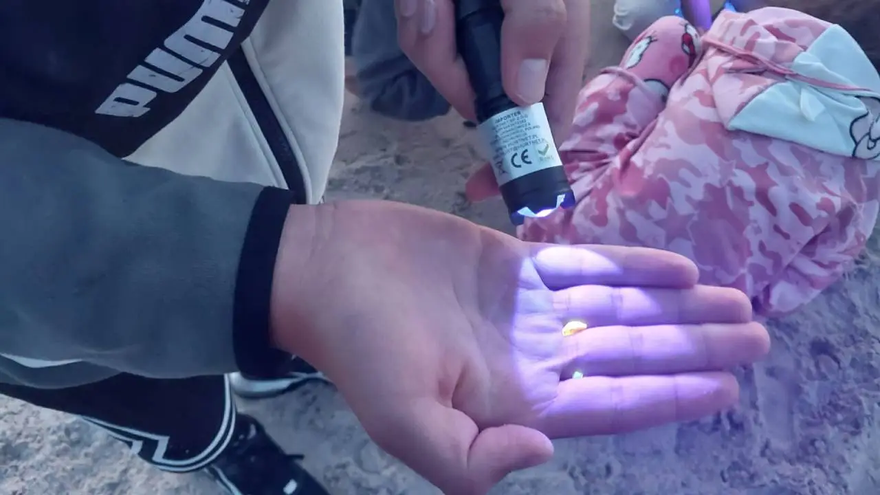 Poddbie - kolonie Nadmorska przygoda