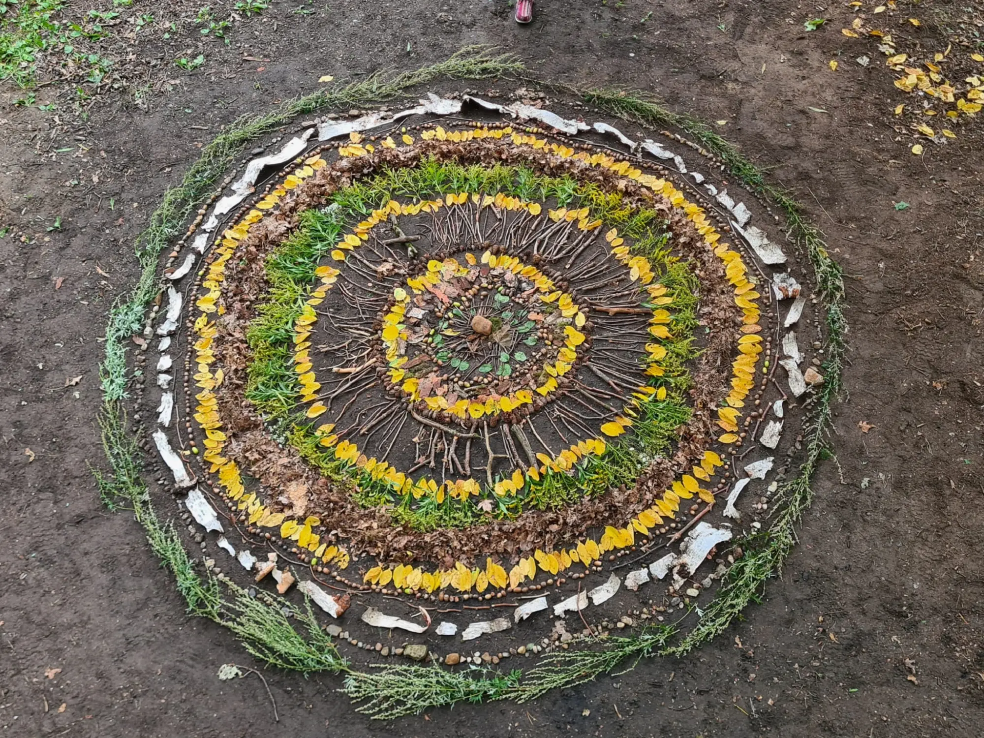 Midzyrzec Podlaski - 17 przygd 