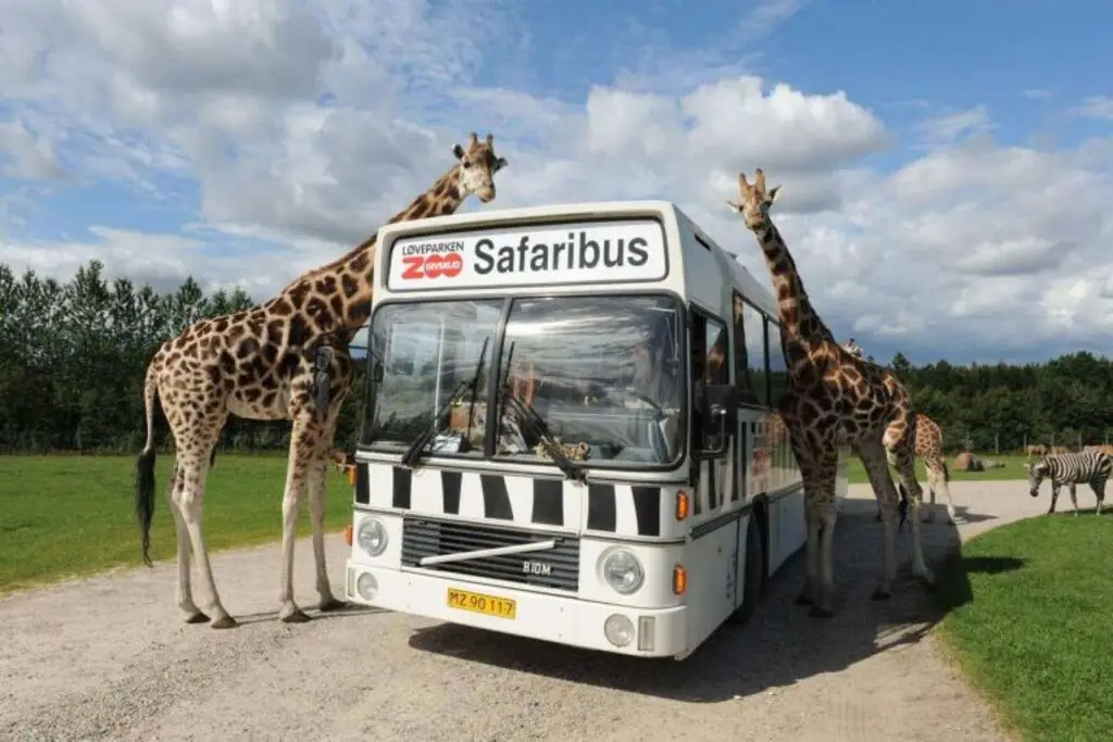 Dania - Legoland - Smak dziecistwa - wylot z Warszawy, Wrocawia