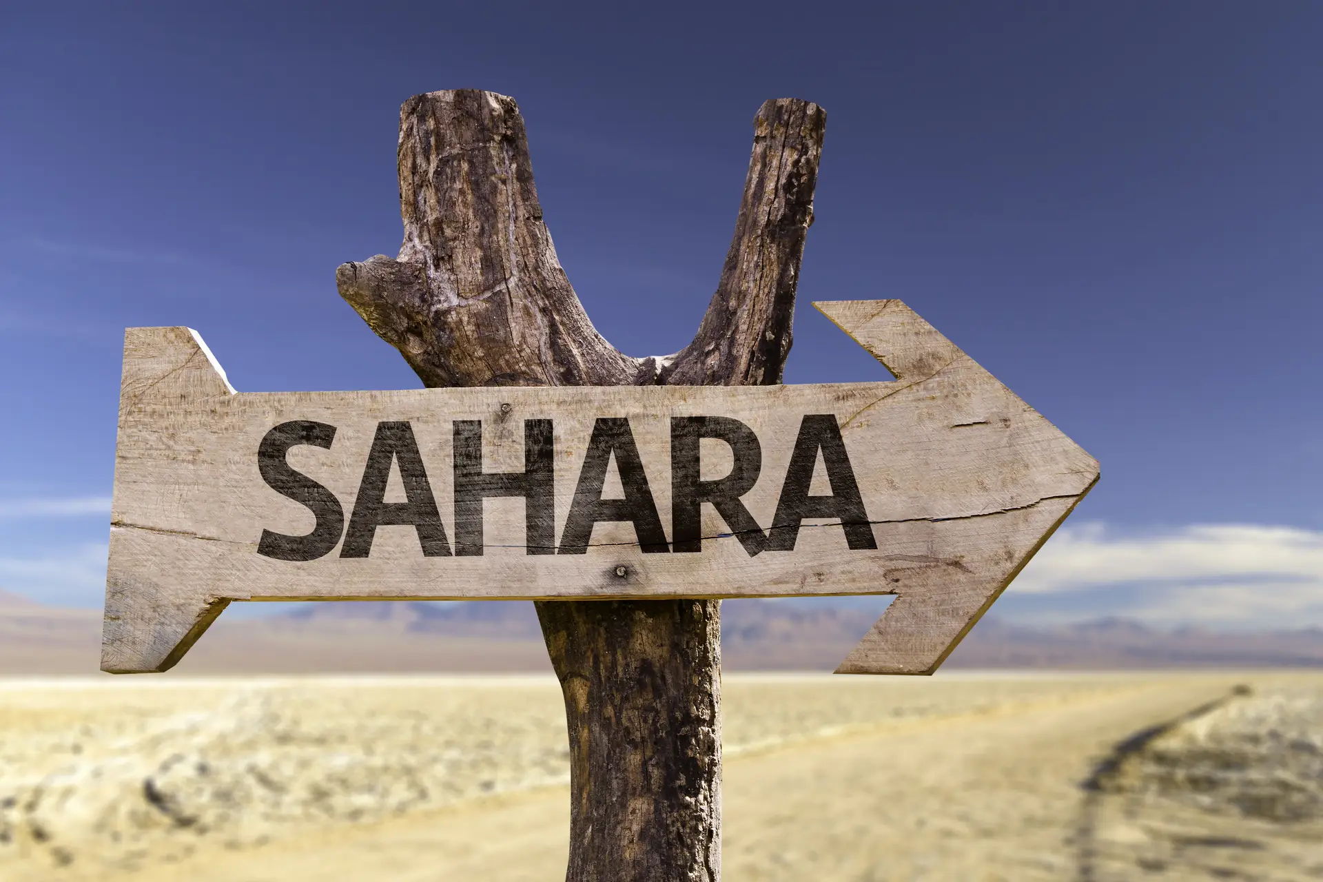 Sahara
