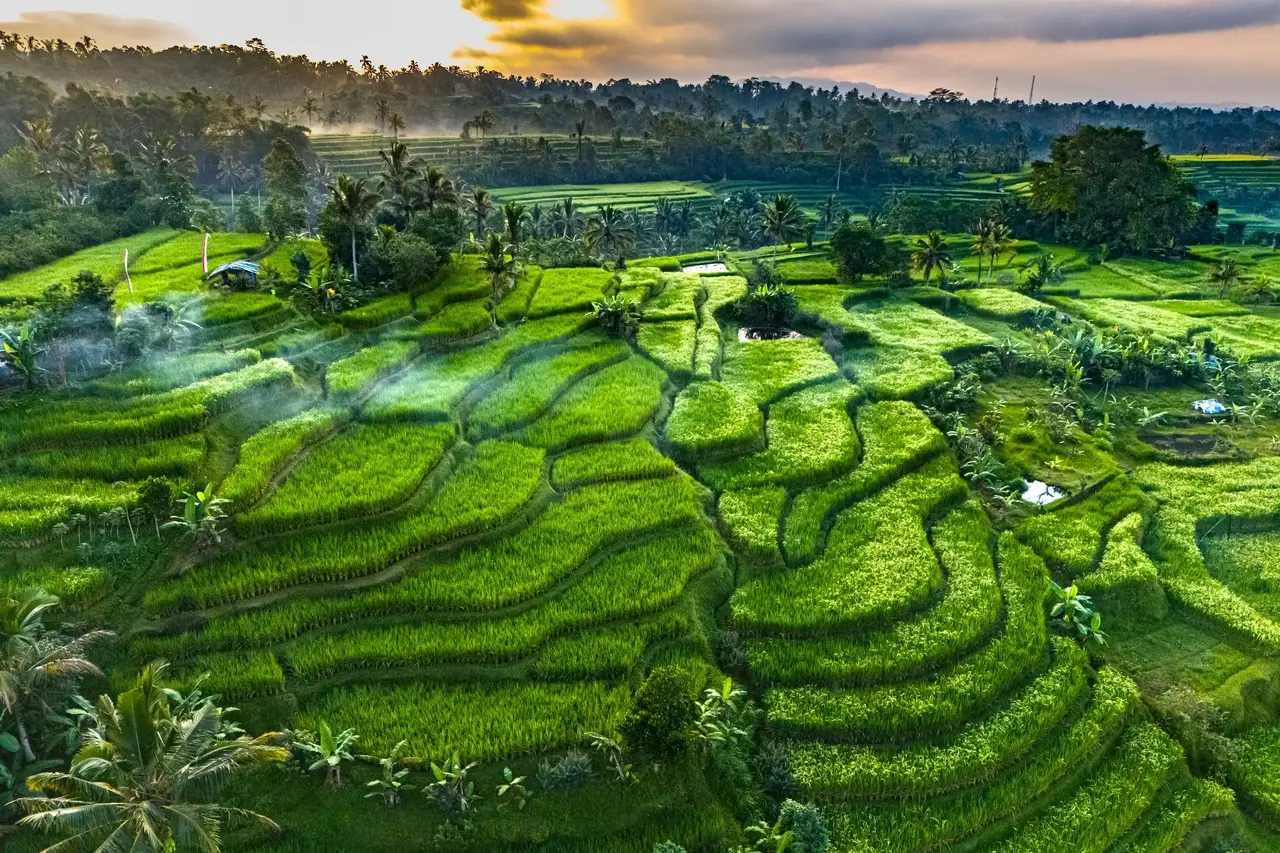 Bali - Wakacje pod palmami - wylot z Warszawy