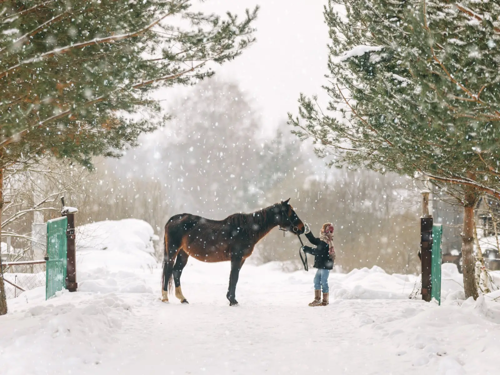 Brenna - obz jedziecki