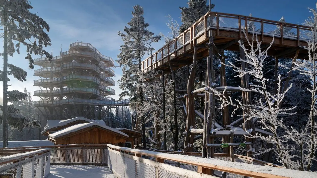 Krynica-Zdrj - obz snowboardowy