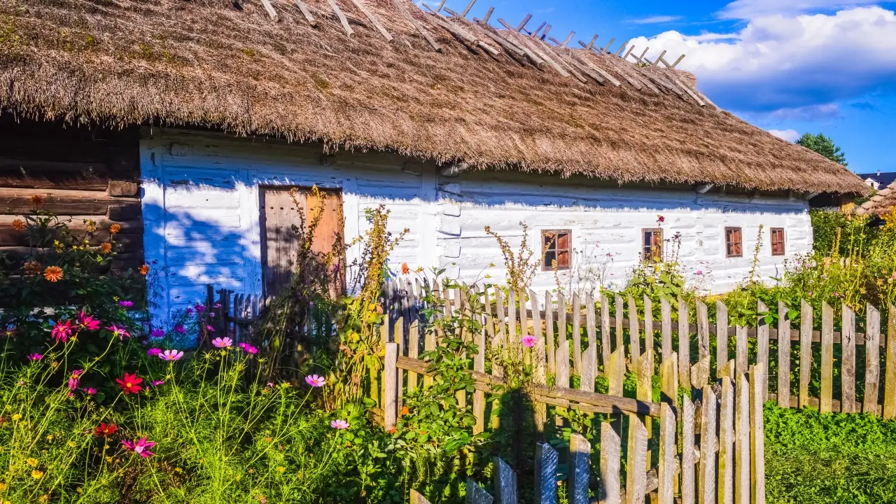 Polska - Bieszczadzkie pooniny