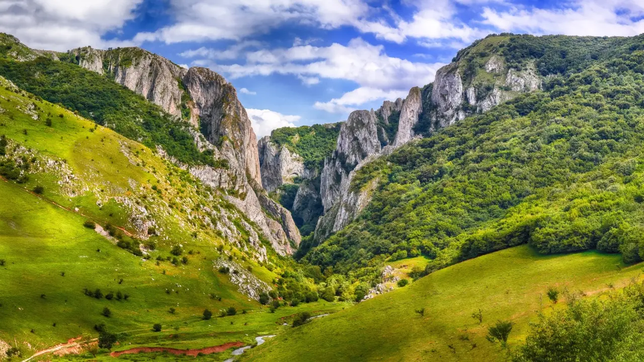 Rumunia - Per�y Karpat (HB)