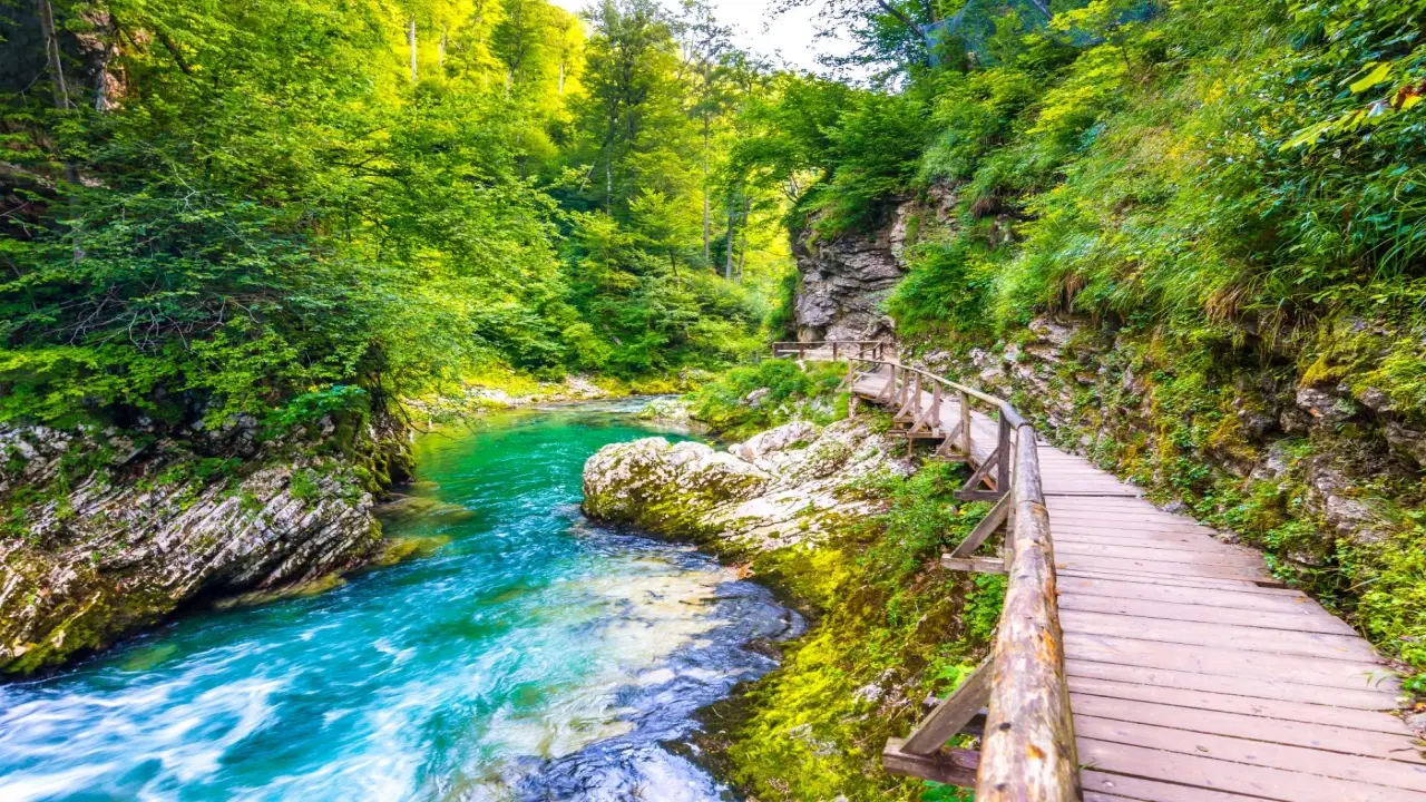 S�owenia - Zachwycaj�ca S�owenia (HB)