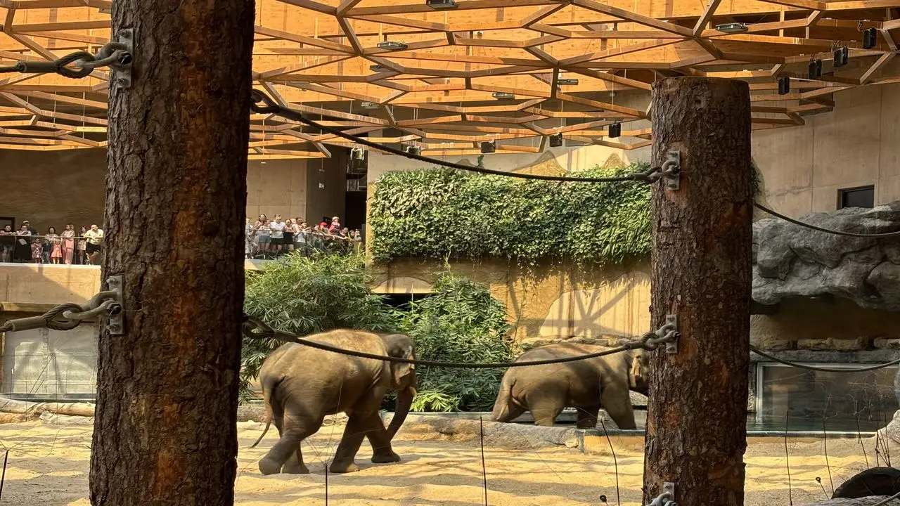 Grotniki - kolonia Mega Przyg�d