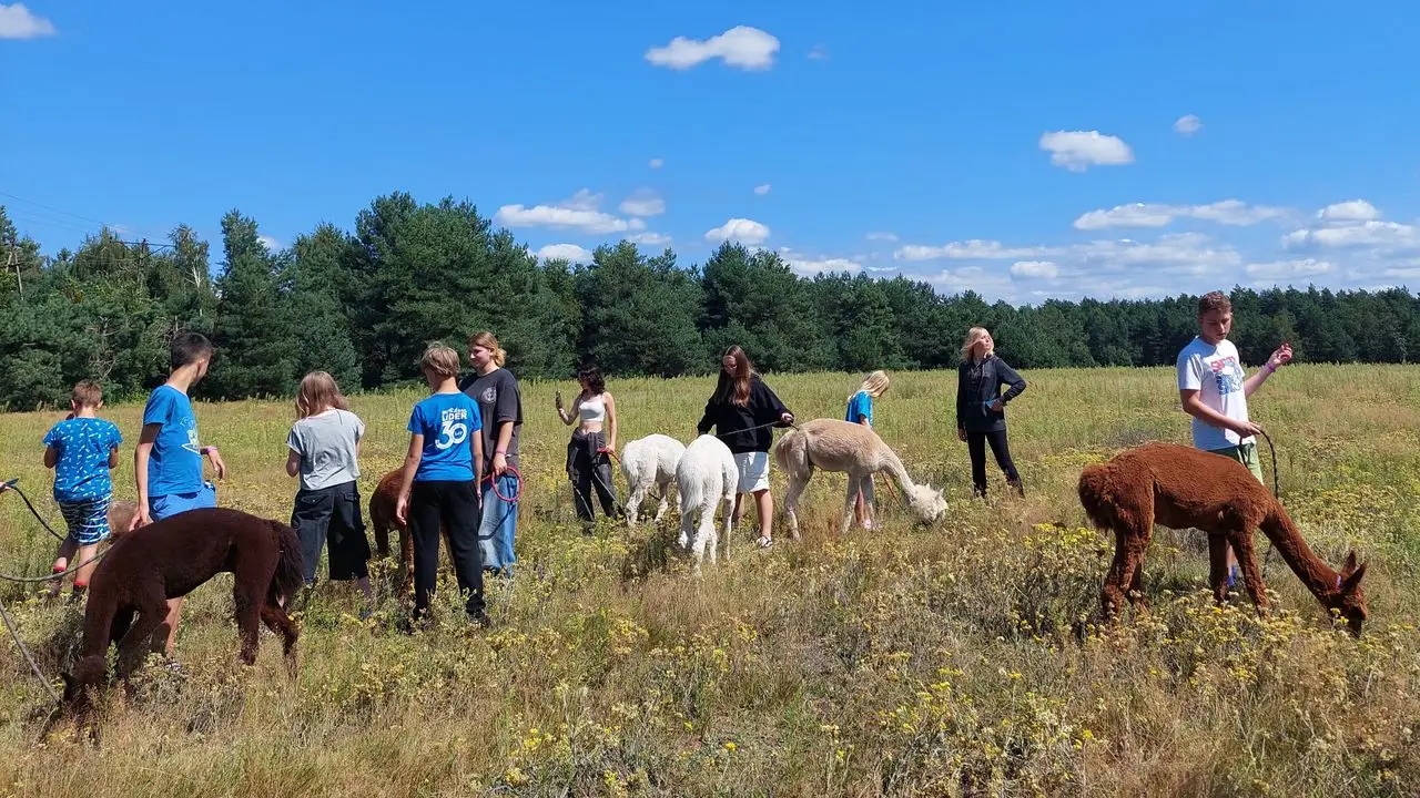 Uniej�w - kolonia survivalowa