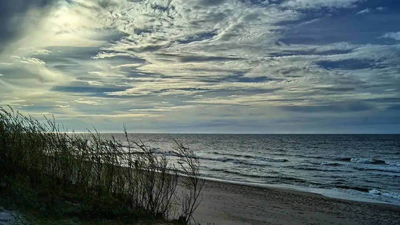 �azy - ob�z Vocal Camp