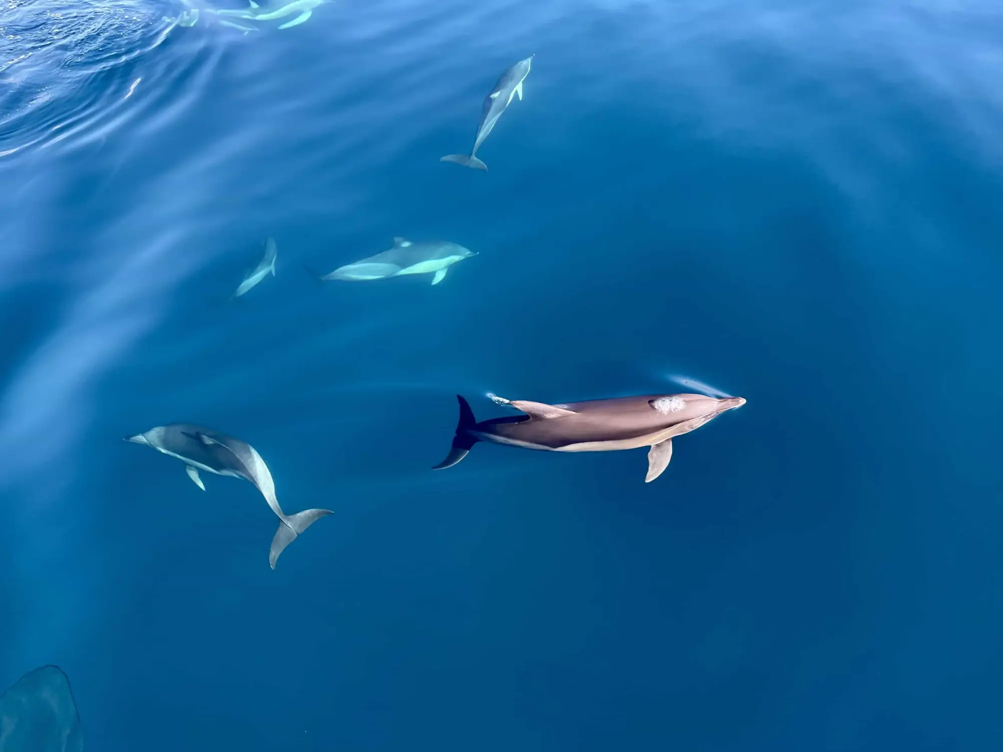 Grecja - ob�z rekreacyjny- samolot - wylot z Warszawy