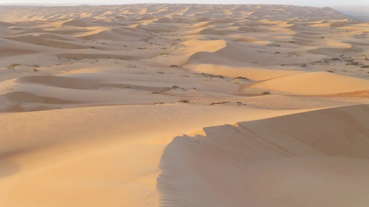 Arabia Saudyjska, Kuwejt, Oman - Trzy oblicza P�wyspu Arabskiego