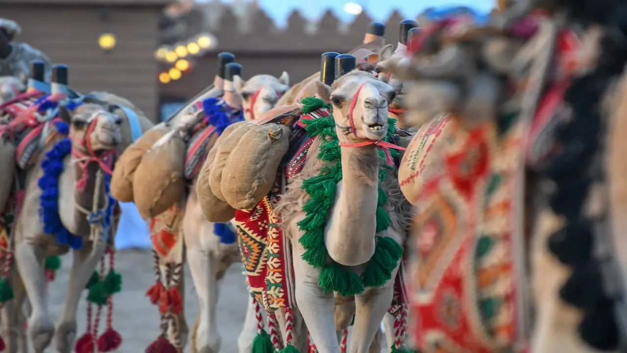 Arabia Saudyjska, Kuwejt, Oman - Trzy oblicza P�wyspu Arabskiego